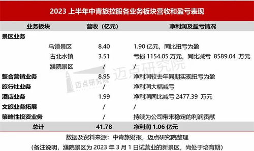 2023上半年文旅集團財務分析報告 國內旅游業務穩健復蘇與結構性分化